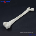 PNT-7001 tamanho de vida de alta qualidade thighbone femur bone model